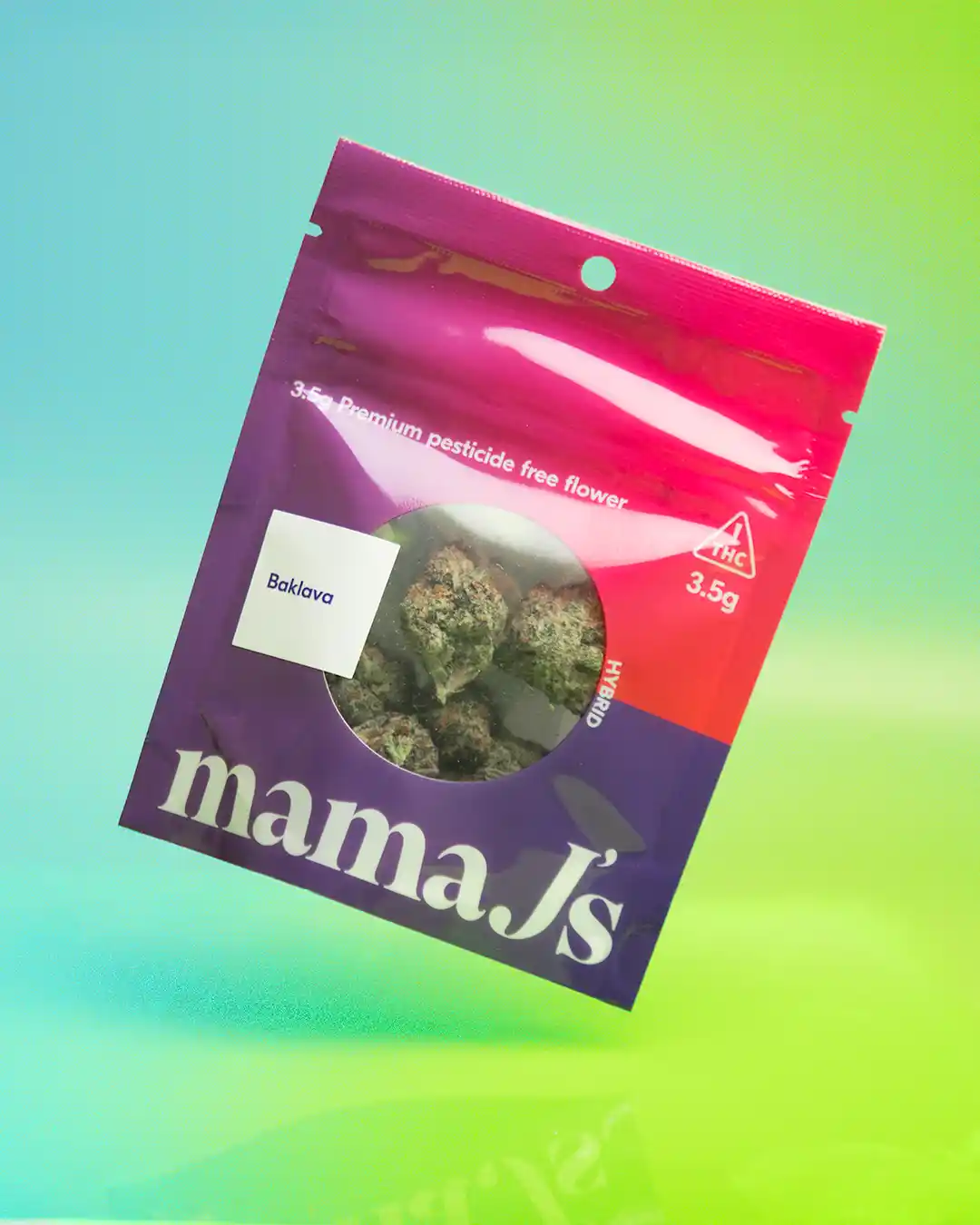 01.19 The source mama js