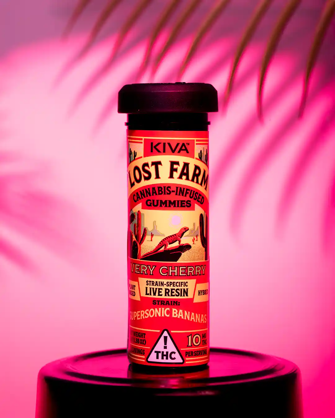 06 Lost Farm summer jams