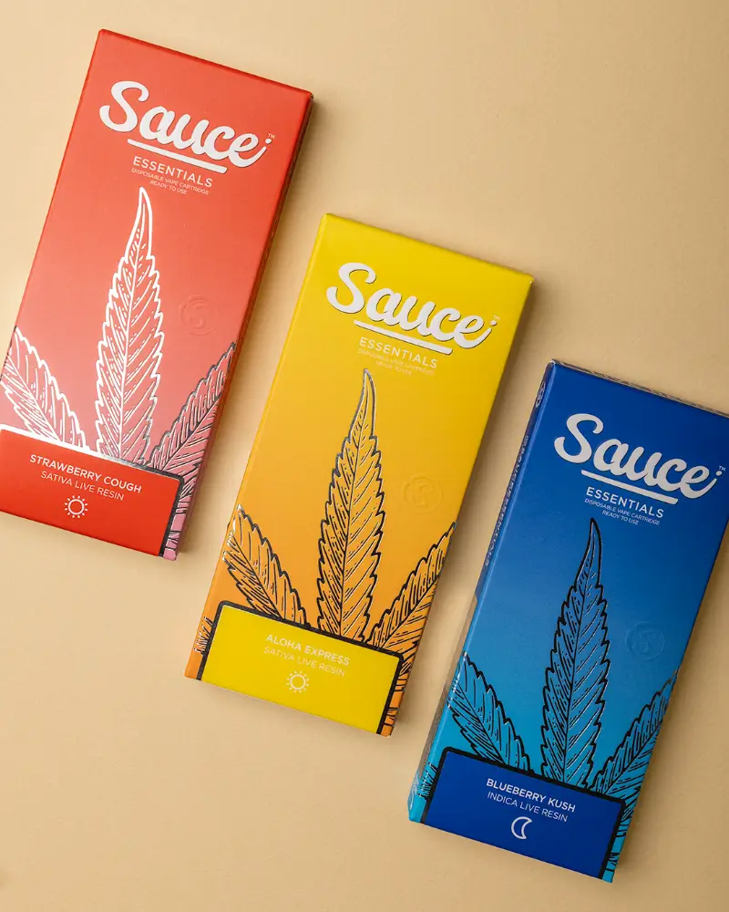 3.13The source sauce essentials (1)