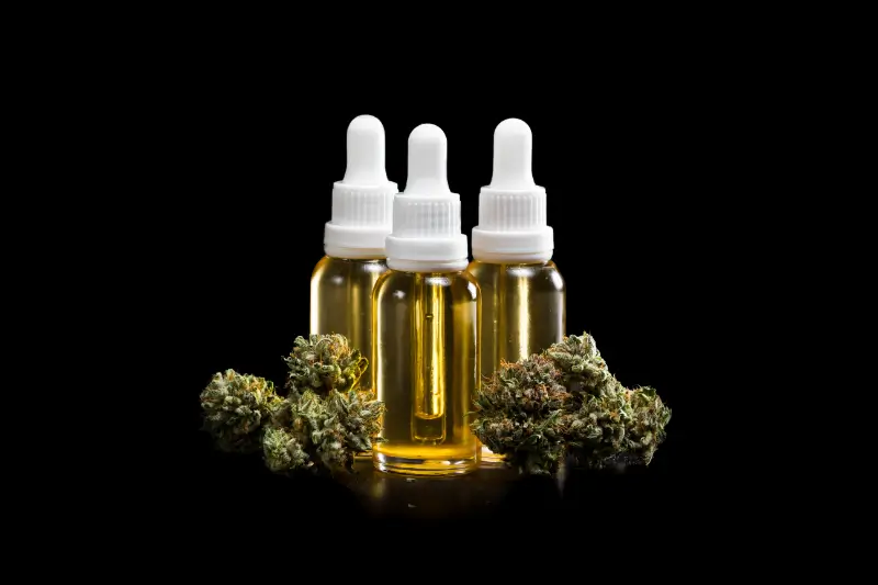 AdobeStock 257978551 (1)