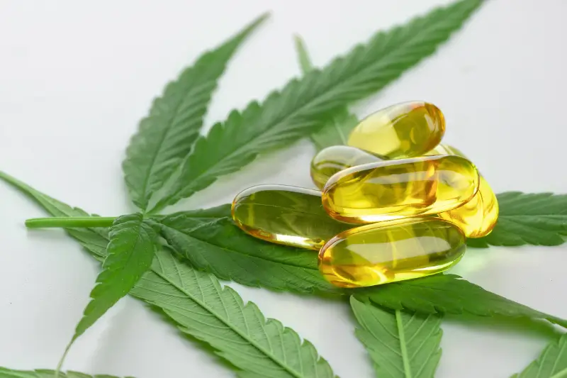 AdobeStock 265868569 (1)