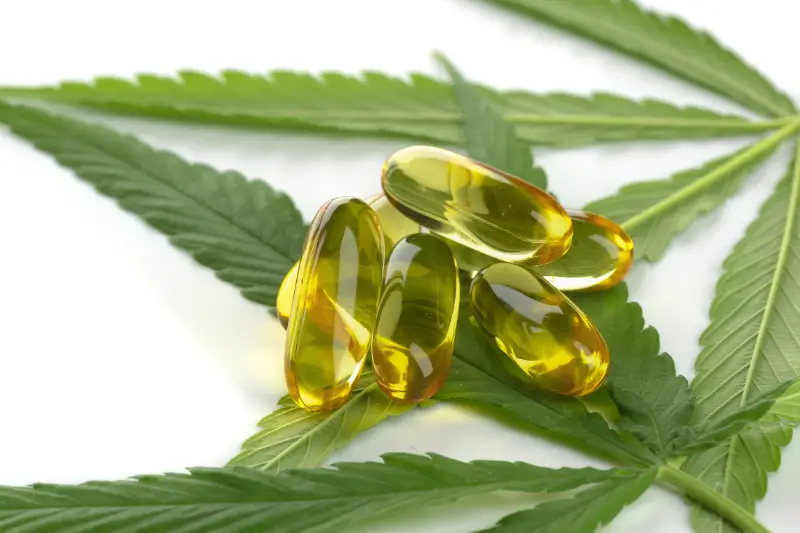 AdobeStock 266665103 (1)