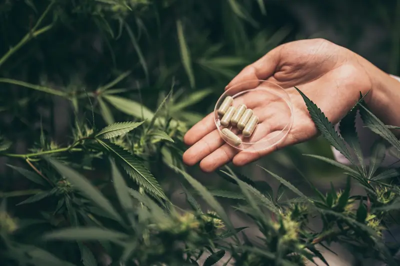 AdobeStock 332305644 (1)