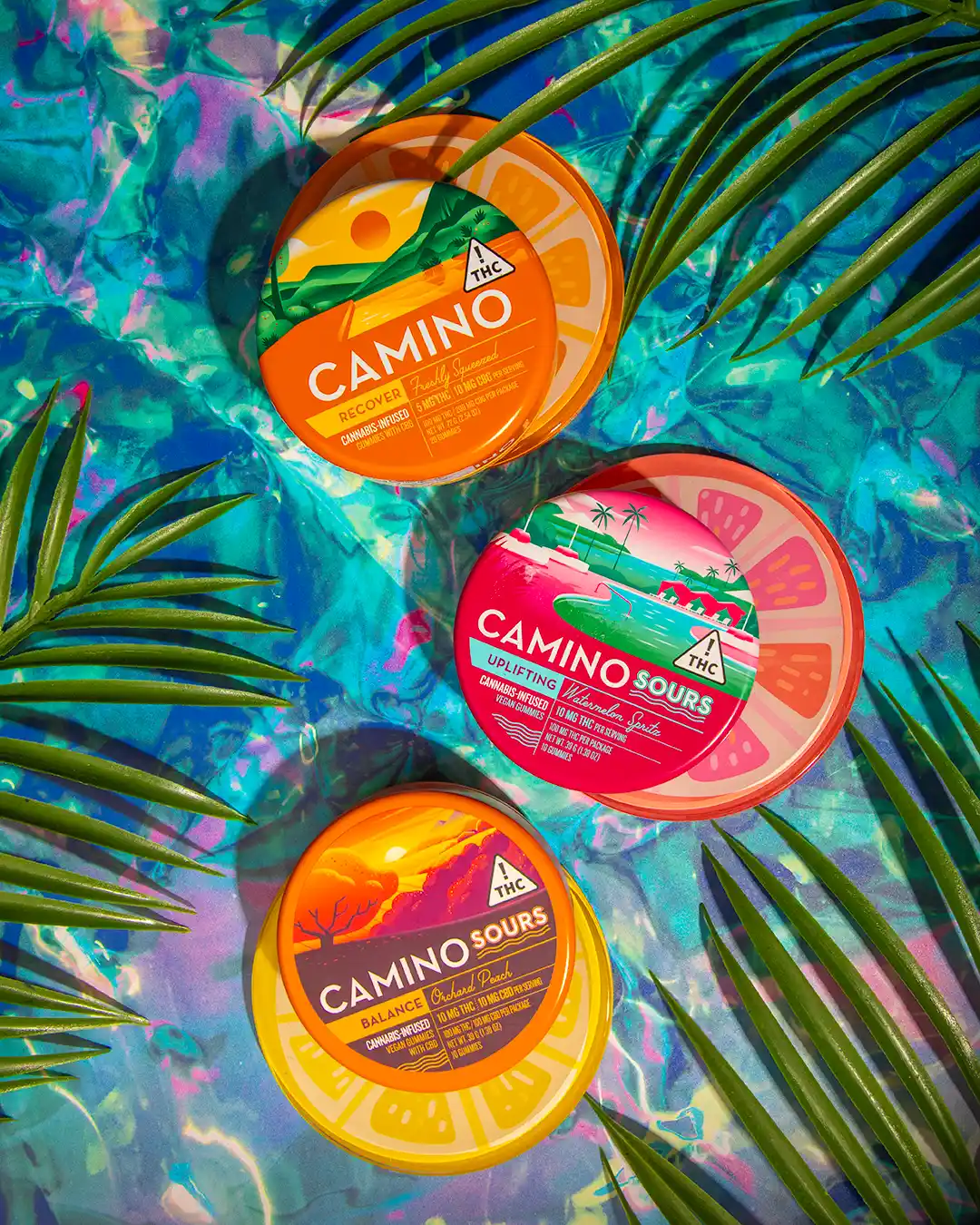 Camino summer the source