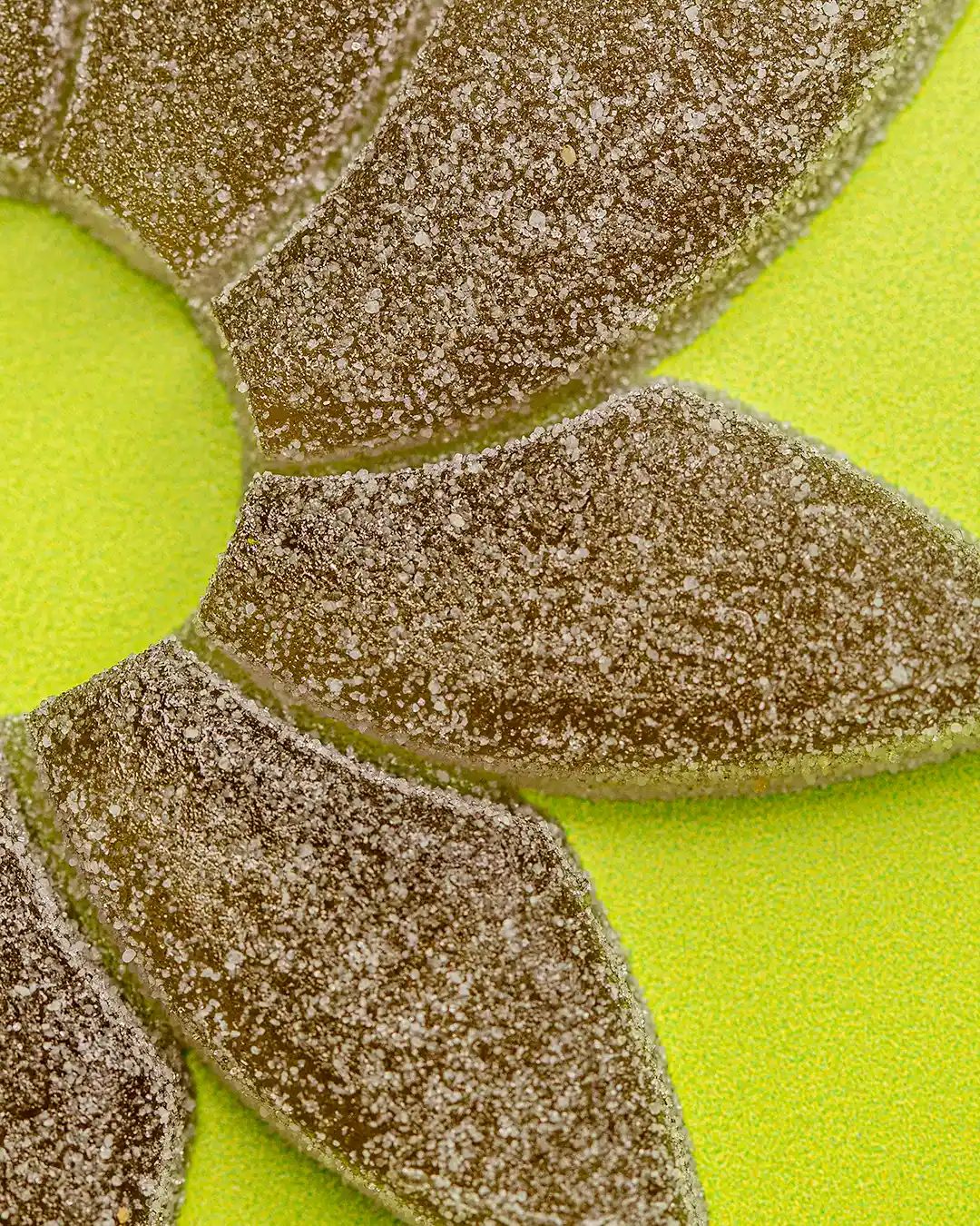 Cannavore the source 2